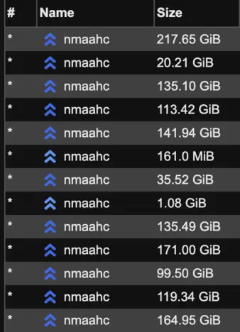 A list of torrents, all of which are named nmaahc