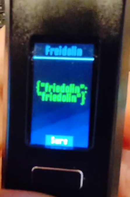 A blurry screen reads {"friedolin": "friedolin"}